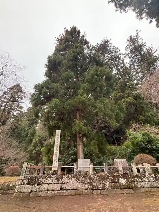 妙義神社(群馬県)