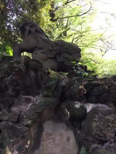 赤坂氷川神社の狛犬