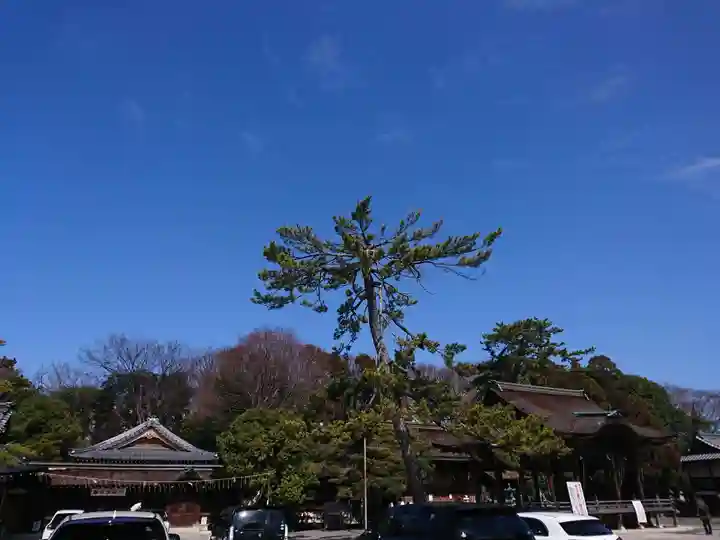 長浜八幡宮のその他建物