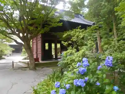 妙本寺のその他建物