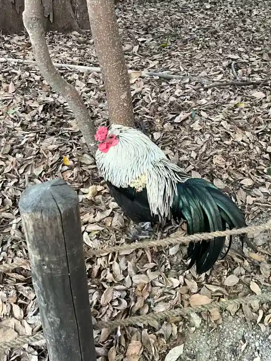 熱田神宮の{uncategorized: "未分類", other: "その他", undefined: "問題あり", building: "その他建物", grave: "お墓", sacred_gate: "鳥居", guardian: "狛犬", statue: "像", buddha: "仏像", history: "歴史", nature: "自然", garden: "庭園", animal: "動物", pagoda: "塔", temizu: "手水舎", mountain_gate: "山門・神門", sanctuary: "本殿・本堂", subordinate: "末社・摂社", art: "芸術", scenery: "景色", jizo: "地蔵", ema: "絵馬", goshuin: "御朱印", omikuji: "おみくじ", items: "授与品その他", amulet: "お守り", goshuincho: "御朱印帳", eats: "食事", festival: "お祭り", votive_dance: "神楽", shichigosan: "七五三参", wedding: "結婚式", experience: "体験その他", initially: "初詣", around: "周辺", anti_infection: "感染症対策"}