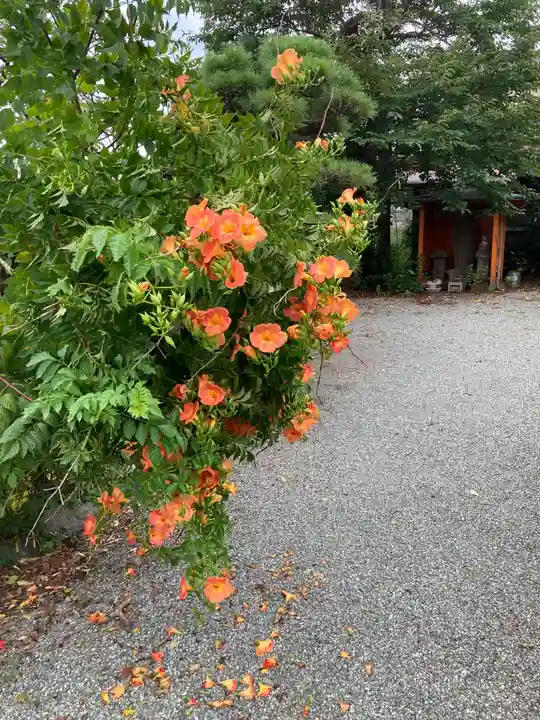 妙覚寺(神奈川県)