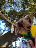 瀬戸神社(神奈川県)