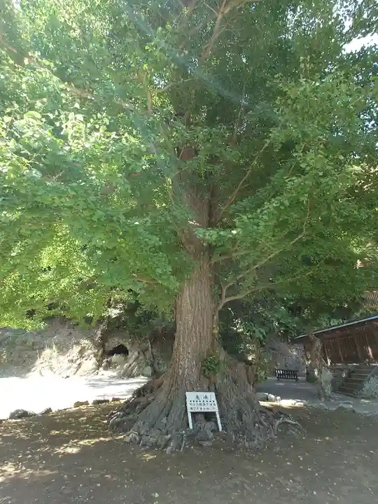 安房神社(千葉県)