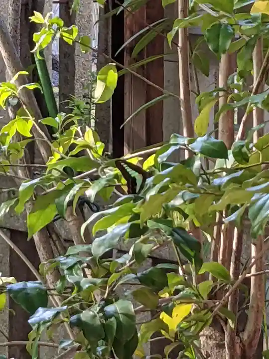 神明社(愛知県)