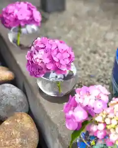 上尾御嶽神社の手水舎(2022年06月16日(木) 18時39分12秒投稿)