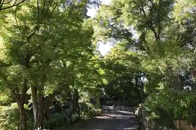 柳谷観音　楊谷寺(京都府)