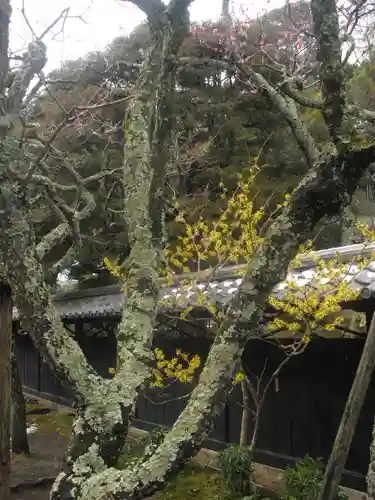 東慶寺の自然