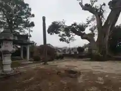 和光院(田島の血不動尊)の自然