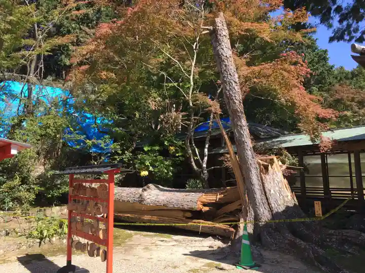大原野神社のその他建物