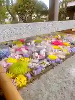 竹駒神社(宮城県)