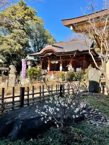 玉川神社(東京都)