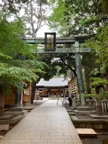 平塚八幡宮の鳥居