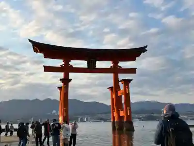 厳島神社の{uncategorized: "未分類", other: "その他", undefined: "問題あり", building: "その他建物", grave: "お墓", sacred_gate: "鳥居", guardian: "狛犬", statue: "像", buddha: "仏像", history: "歴史", nature: "自然", garden: "庭園", animal: "動物", pagoda: "塔", temizu: "手水舎", mountain_gate: "山門・神門", sanctuary: "本殿・本堂", subordinate: "末社・摂社", art: "芸術", scenery: "景色", jizo: "地蔵", ema: "絵馬", goshuin: "御朱印", omikuji: "おみくじ", items: "授与品その他", amulet: "お守り", goshuincho: "御朱印帳", eats: "食事", festival: "お祭り", votive_dance: "神楽", shichigosan: "七五三参", wedding: "結婚式", experience: "体験その他", initially: "初詣", around: "周辺", anti_infection: "感染症対策"}