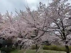 日切地蔵尊の自然