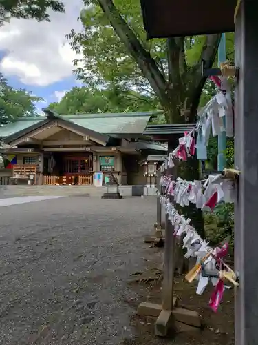 東郷神社のおみくじ