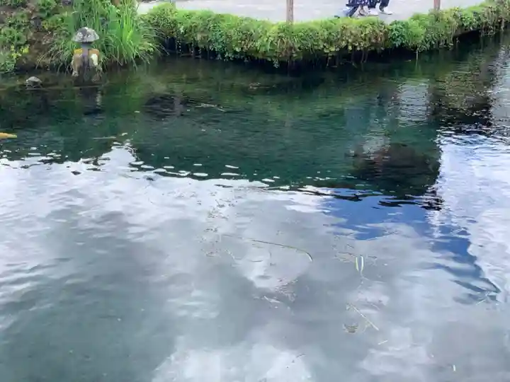 淺間神社(忍野八海)の庭園