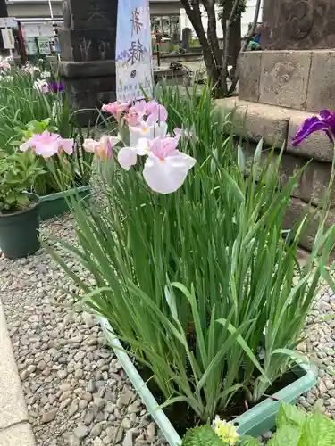 磐井神社(東京都)