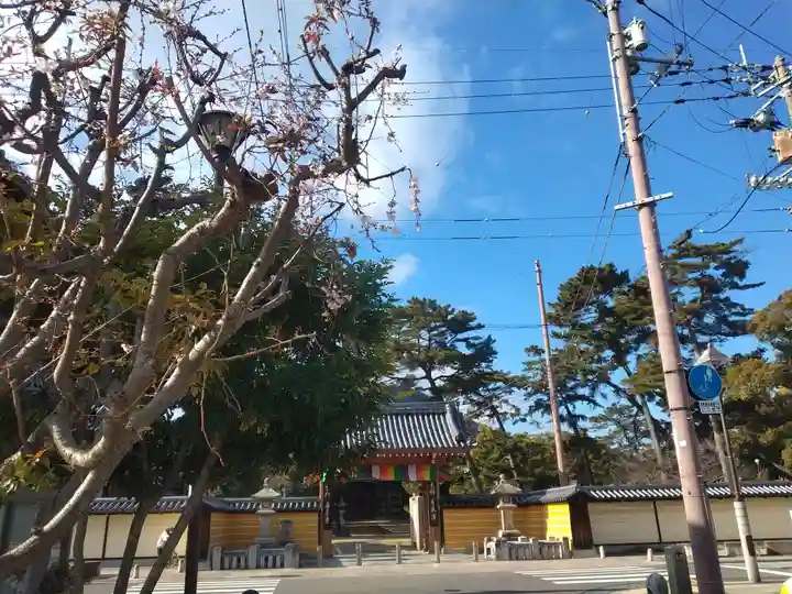 善通寺(香川県)