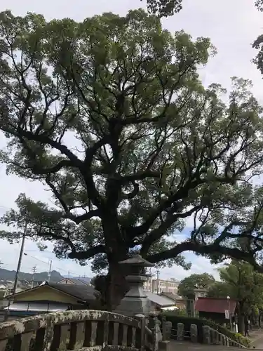 鹿児島神宮(鹿児島県)