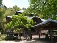 松尾寺の本殿・本堂