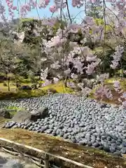 宝厳院(京都府)