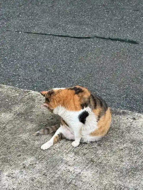 賀茂別雷神社(栃木県)