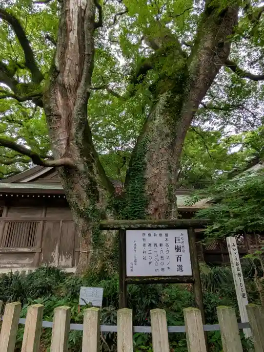 春日神社の{uncategorized: "未分類", other: "その他", undefined: "問題あり", building: "その他建物", grave: "お墓", sacred_gate: "鳥居", guardian: "狛犬", statue: "像", buddha: "仏像", history: "歴史", nature: "自然", garden: "庭園", animal: "動物", pagoda: "塔", temizu: "手水舎", mountain_gate: "山門・神門", sanctuary: "本殿・本堂", subordinate: "末社・摂社", art: "芸術", scenery: "景色", jizo: "地蔵", ema: "絵馬", goshuin: "御朱印", omikuji: "おみくじ", items: "授与品その他", amulet: "お守り", goshuincho: "御朱印帳", eats: "食事", festival: "お祭り", votive_dance: "神楽", shichigosan: "七五三参", wedding: "結婚式", experience: "体験その他", initially: "初詣", around: "周辺", anti_infection: "感染症対策"}