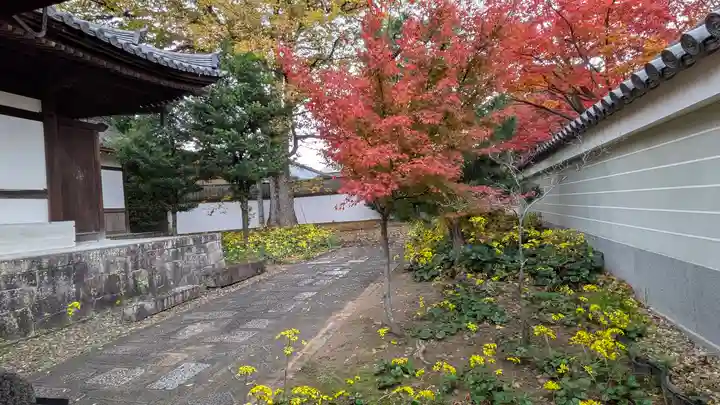 興聖寺(京都府)