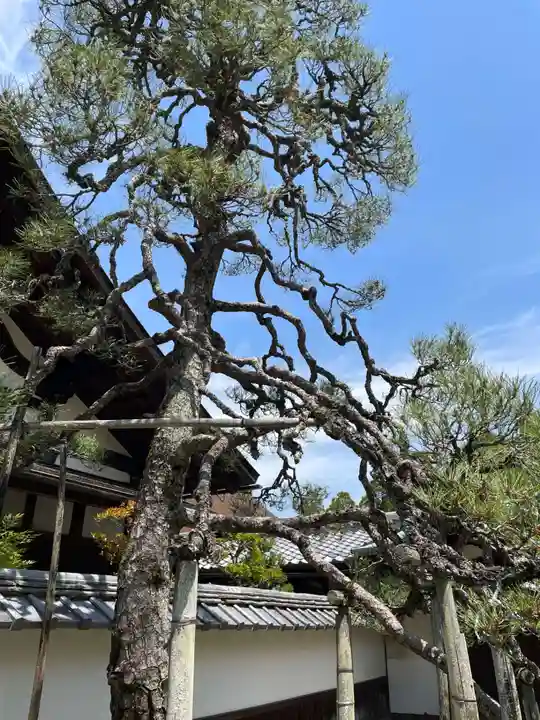 酬恩庵一休寺(京都府)