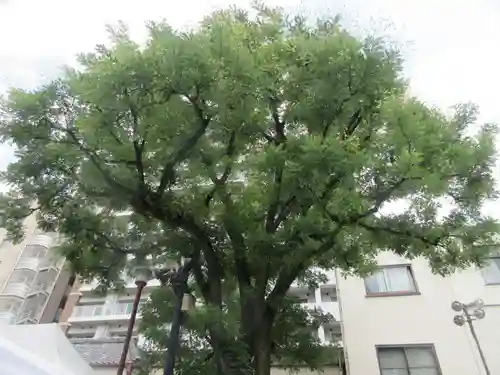 浅草神社(東京都)