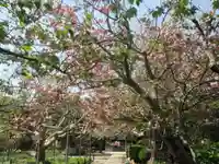 極楽寺(霊鷲山感應院極楽律寺)の自然