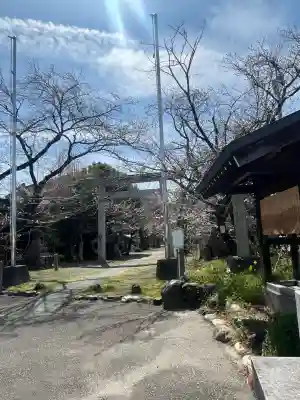 酒見神社の{uncategorized: "未分類", other: "その他", undefined: "問題あり", building: "その他建物", grave: "お墓", sacred_gate: "鳥居", guardian: "狛犬", statue: "像", buddha: "仏像", history: "歴史", nature: "自然", garden: "庭園", animal: "動物", pagoda: "塔", temizu: "手水舎", mountain_gate: "山門・神門", sanctuary: "本殿・本堂", subordinate: "末社・摂社", art: "芸術", scenery: "景色", jizo: "地蔵", ema: "絵馬", goshuin: "御朱印", omikuji: "おみくじ", items: "授与品その他", amulet: "お守り", goshuincho: "御朱印帳", eats: "食事", festival: "お祭り", votive_dance: "神楽", shichigosan: "七五三参", wedding: "結婚式", experience: "体験その他", initially: "初詣", around: "周辺", anti_infection: "感染症対策"}
