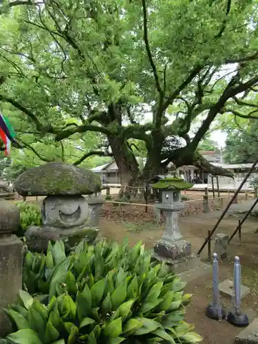 諫早神社（九州総守護  四面宮）(長崎県)