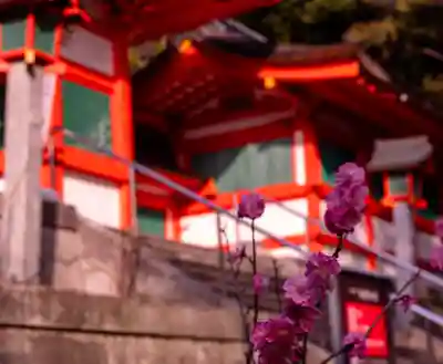 香椎宮(福岡県)