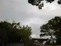 八坂神社(祇園さん)の自然