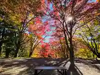土津神社|こどもと出世の神さま(福島県)