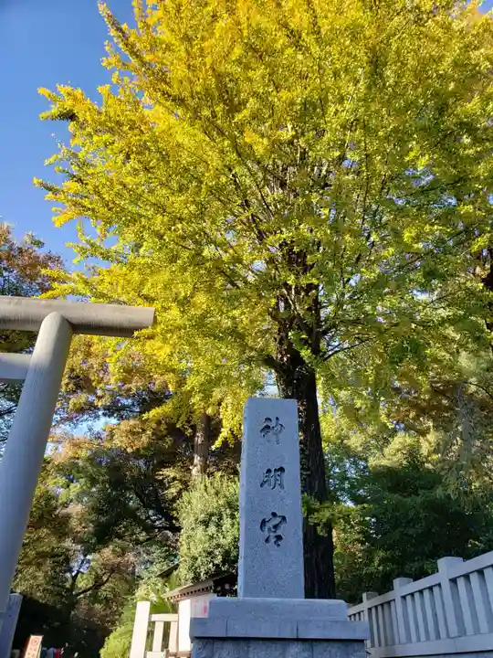 阿佐ヶ谷神明宮(東京都)