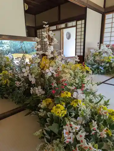 光明院（光明禅院）(京都府)