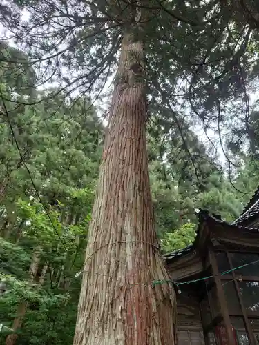 湯涌稲荷神社(石川県)