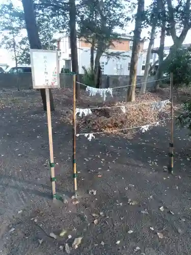 白髭神社のおみくじ