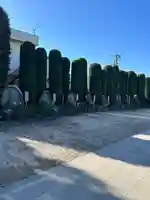 龍興寺(栃木県)