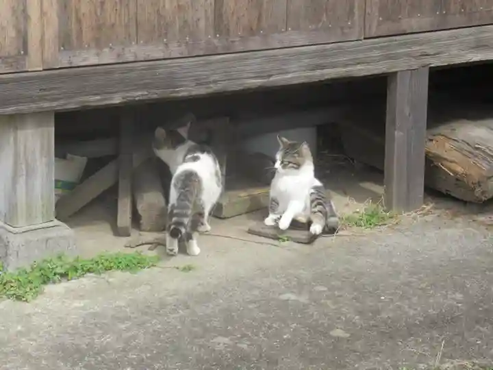 須賀神社(千葉県)
