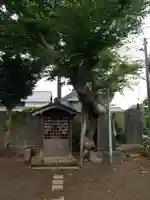 北向観音堂のその他建物