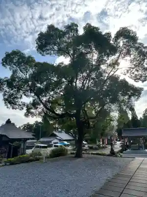 善楽寺(高知県)