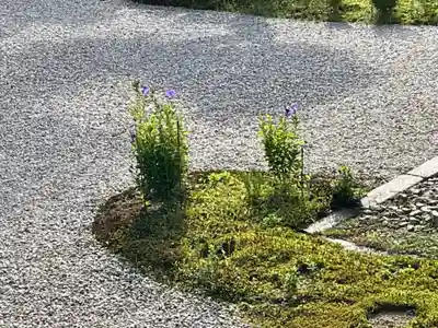 廬山寺(廬山天台講寺)(京都府)