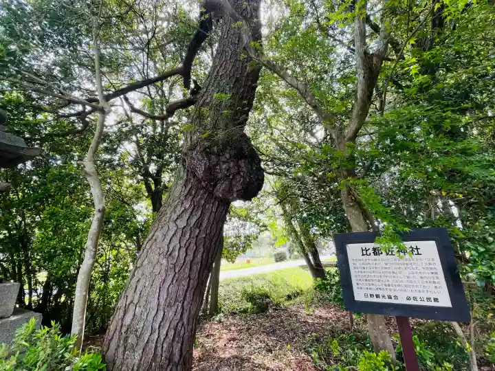 比都佐神社の{uncategorized: "未分類", other: "その他", undefined: "問題あり", building: "その他建物", grave: "お墓", sacred_gate: "鳥居", guardian: "狛犬", statue: "像", buddha: "仏像", history: "歴史", nature: "自然", garden: "庭園", animal: "動物", pagoda: "塔", temizu: "手水舎", mountain_gate: "山門・神門", sanctuary: "本殿・本堂", subordinate: "末社・摂社", art: "芸術", scenery: "景色", jizo: "地蔵", ema: "絵馬", goshuin: "御朱印", omikuji: "おみくじ", items: "授与品その他", amulet: "お守り", goshuincho: "御朱印帳", eats: "食事", festival: "お祭り", votive_dance: "神楽", shichigosan: "七五三参", wedding: "結婚式", experience: "体験その他", initially: "初詣", around: "周辺", anti_infection: "感染症対策"}