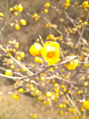 神前神社の自然