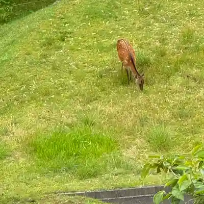 青岸渡寺(和歌山県)