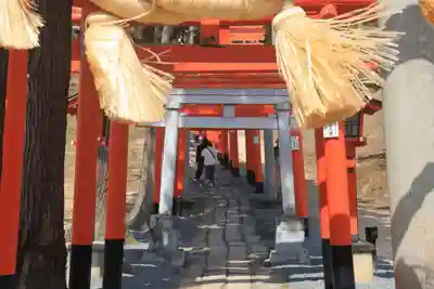 高屋敷稲荷神社の鳥居